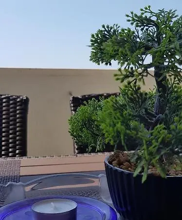 Summer Lounge Apartment