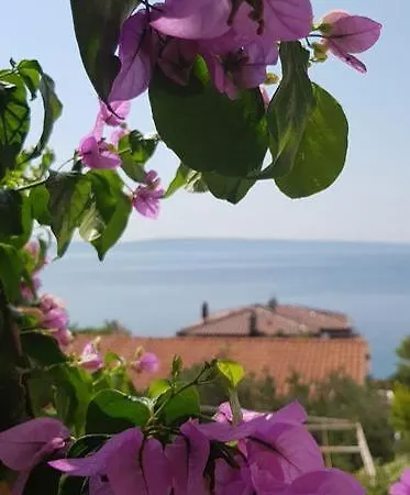 Summer Lounge * Трогир