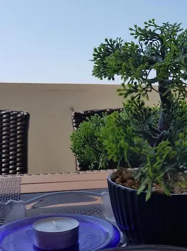 Summer Lounge Апартаменты