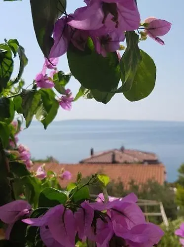 Summer Lounge * Трогир