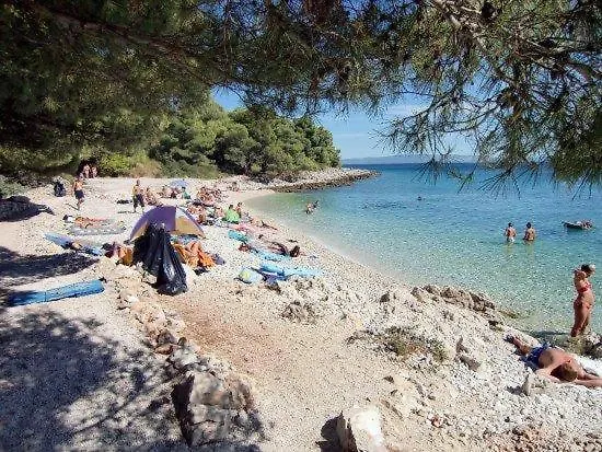 Lejlighed Summer Lounge *